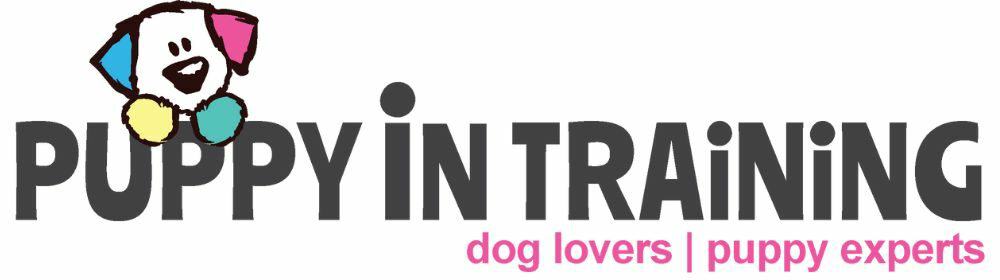 金刚幼犬训练计划